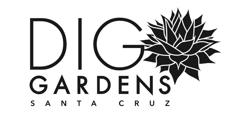 DIG Gardens
